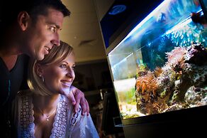 Tasman Holiday Parks - North Star