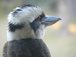 Diamond Beach Holiday Park