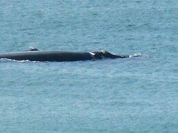 Diamond Beach Holiday Park