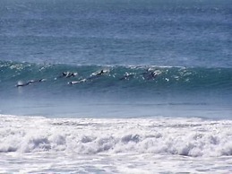 Diamond Beach Holiday Park