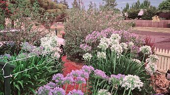 Abelia Cottage of Daylesford Botanical