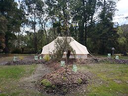 Zeehan Bush Camp