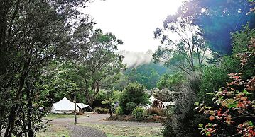 Zeehan Bush Camp