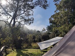 Zeehan Bush Camp