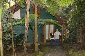 Springbrook Lyrebird Retreat