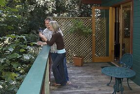 Springbrook Lyrebird Retreat