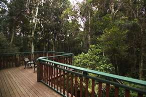 Springbrook Lyrebird Retreat