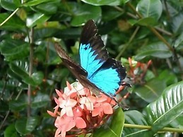 Cairns Crystal Cascades Holiday Park