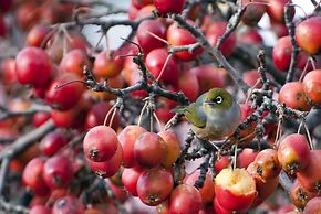 Archway Motel & Chalets