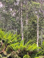 Mountain View Motel Queenstown