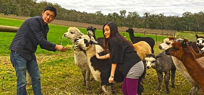 Valley Farm Vineyard Cottages