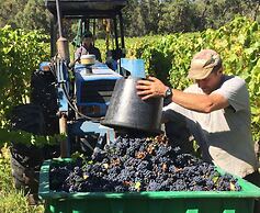 Valley Farm Vineyard Cottages