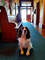 Noah's Ark Backpackers