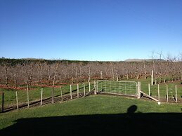 Bluebell Lodge And Cottage