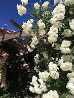 Bluebell Lodge And Cottage