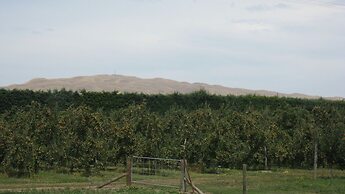 Bluebell Lodge And Cottage