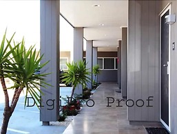 Auckland Phoenix Palm