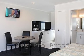 Auckland Phoenix Palm