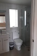 Auckland Phoenix Palm