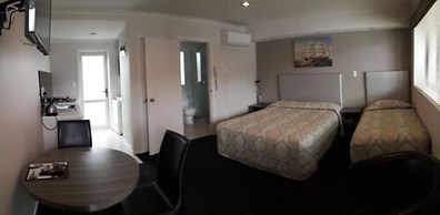 Auckland Phoenix Palm