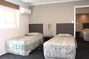 Auckland Phoenix Palm