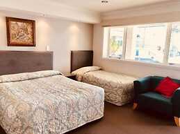 Auckland Phoenix Palm