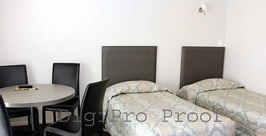 Auckland Phoenix Palm