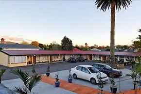 Auckland Phoenix Palm