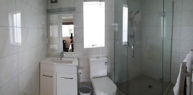 Auckland Phoenix Palm