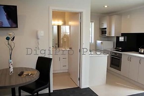 Auckland Phoenix Palm