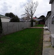 Auckland Phoenix Palm