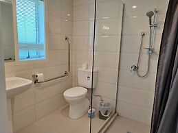 Auckland Phoenix Palm