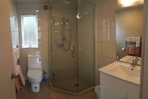 Auckland Phoenix Palm