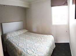 Auckland Phoenix Palm