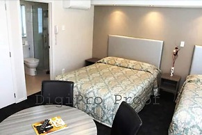 Auckland Phoenix Palm