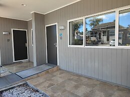 Auckland Phoenix Palm