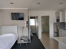 Auckland Phoenix Palm