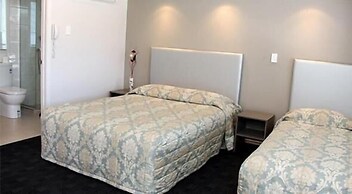 Auckland Phoenix Palm