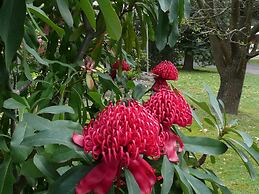 Pinnacle Holiday Lodge