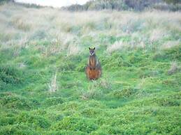 Swan Lake Guest House