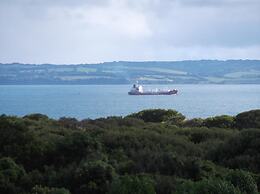 Swan Lake Guest House