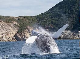 BIG4 Middleton Beach Holiday Park