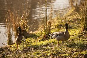 Discovery Parks - Hahndorf