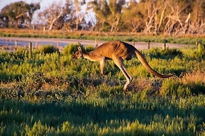 Inn the Tuarts Guest Lodge Busselton