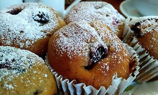 Inn the Tuarts Guest Lodge Busselton