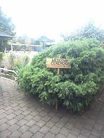 Southern Lights Hotel