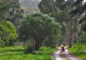 Cape Howe Cottages