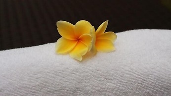 Echoland Bed & Breakfast