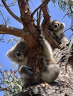 Captains Cove Waterfront Resort