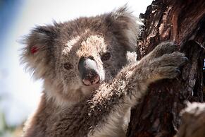 Captains Cove Waterfront Resort